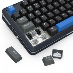 Redragon Cyrus Pro TKL RGB Black/Blue Linear Grey Switch Mecanica