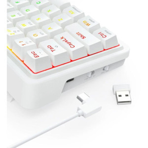 Redragon Draconic V2 Pro RGB White Linear Grey Switch Mecanica