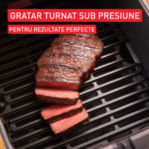Tefal Friteuza cu aer cald Easy Fry Silence EY552DE0, 1670W, 5L, Argintiu/Negru
