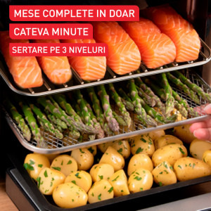 Tefal Friteuza cu aer cald Easy Fry Multifunction FW556DE0, 1800W, 15L, Argintiu/Negru