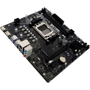 Biostar A620MS