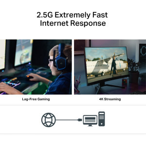 TP-LINK 2.5Gigabit TX201