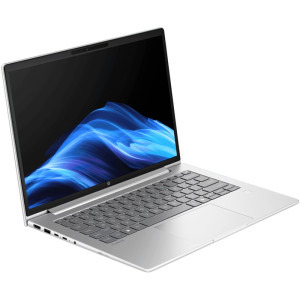 HP 14'' ProBook 4 G1a 14, WUXGA, Procesor AMD Ryzen™ 7 250 (16M Cache, up to 5.10 GHz), 24GB DDR5, 1TB SSD, AMD Radeon 780M, Win 11 Pro, Silver