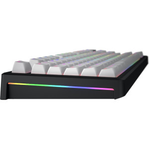 HATOR Skyfall Mag Ultra 8K 80 TKL RGB White/Black Aurum Ice Magnetic Linear Switch Mecanica