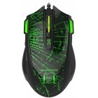 Newmen N700 G364